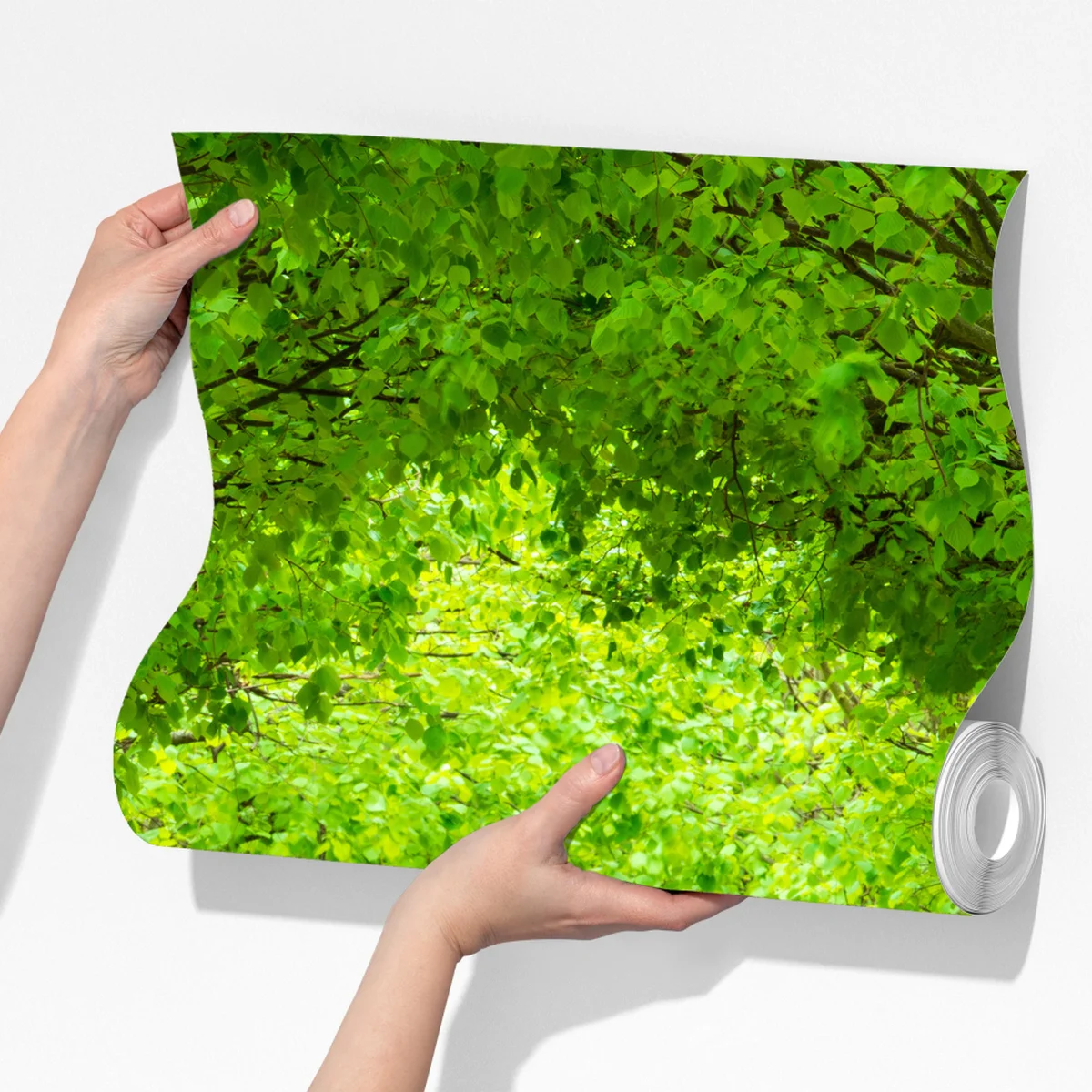 Fototapete grüner baumtunnel Fototapete grüner baumtunnel