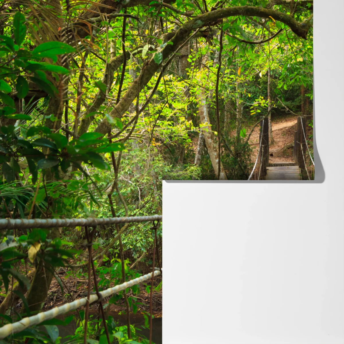 Fototapete hängende holzbrücke im grünen wald Fototapete hängende holzbrücke im grünen wald