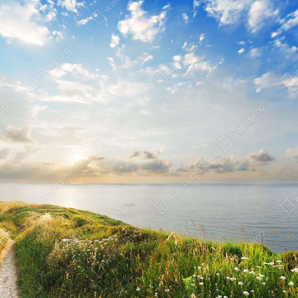 Fototapete sonniger küstenpfad zum meer Fototapete sonniger küstenpfad zum meer