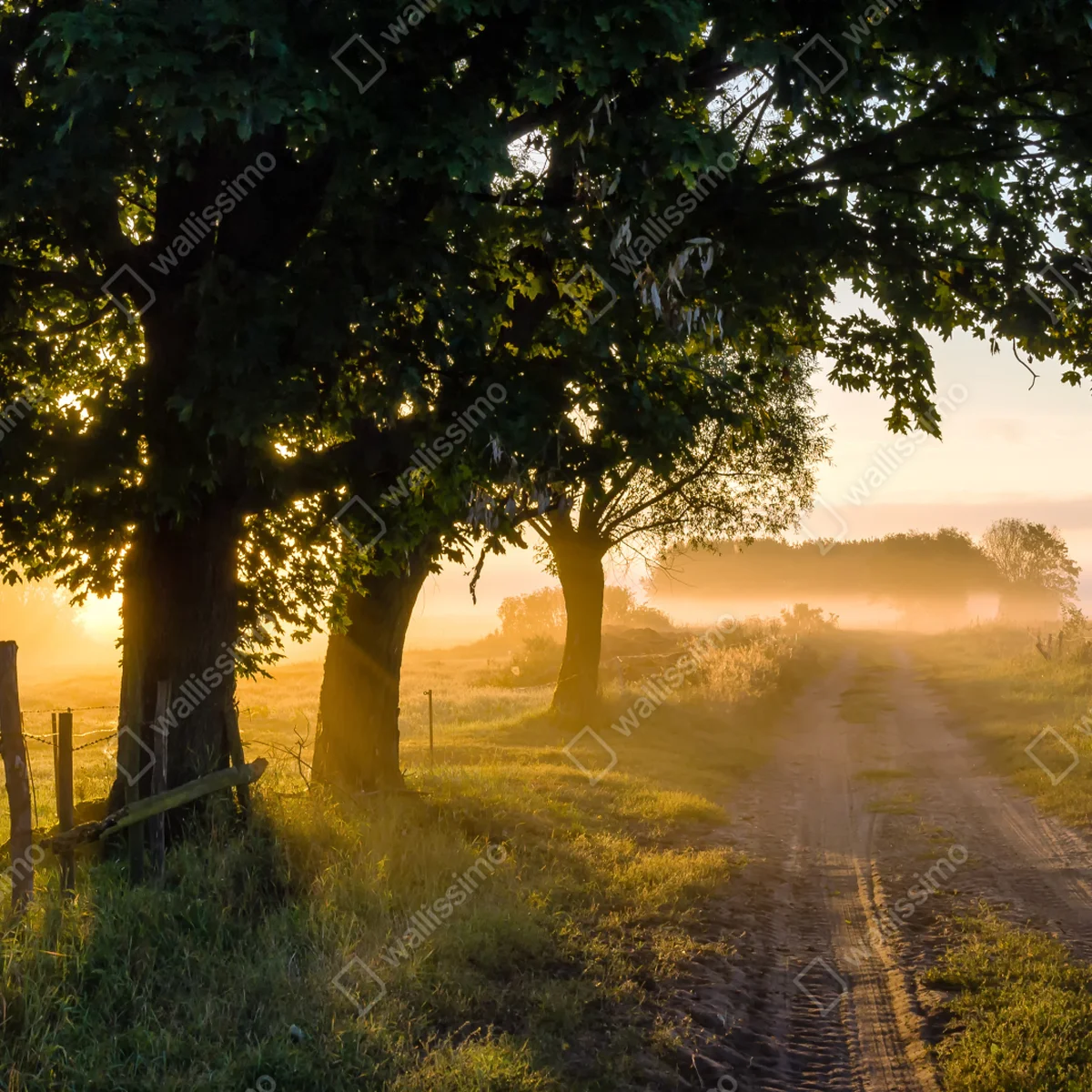 Laptop-Aufkleber sonnenbeschienener landweg im morgendunst Laptop-Aufkleber sonnenbeschienener landweg im morgendunst