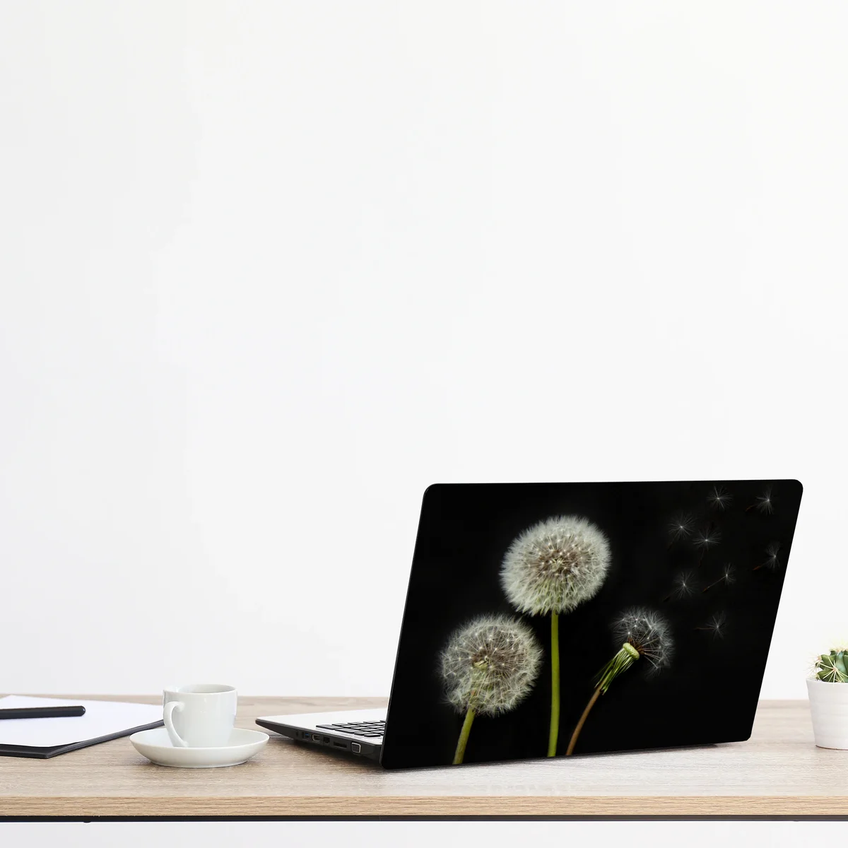 Naklejka na laptopa delikatne główki mniszka na czarnym tle Naklejka na laptopa delikatne główki mniszka na czarnym tle