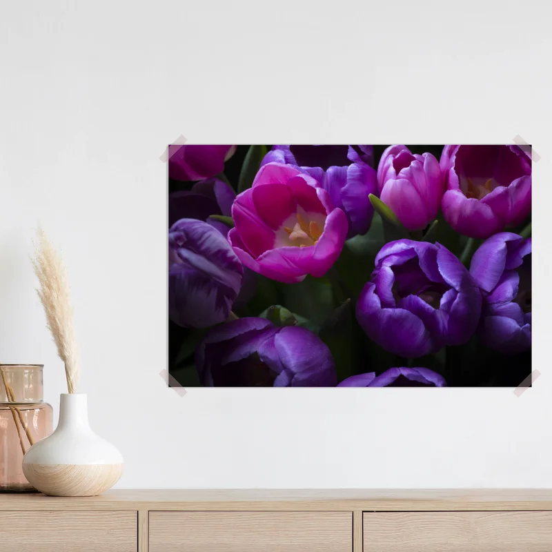 Poster leuchtender strauß lila tulpen • Poster bei Wallnifity® Poster leuchtender strauß lila tulpen • Poster bei Wallnifity®