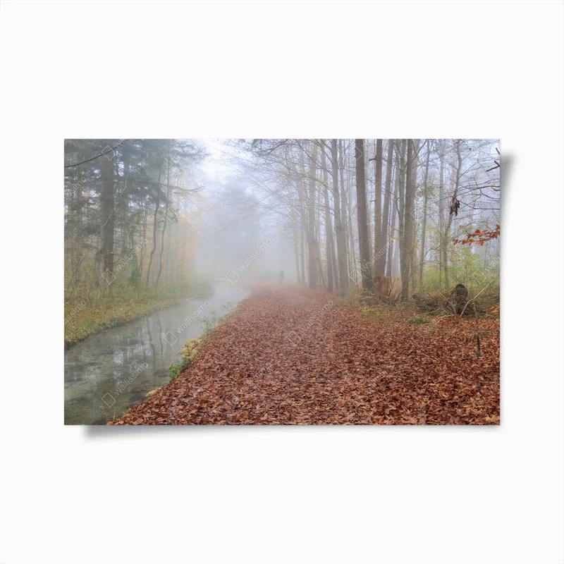 Poster Nebel über Waldweg mit Laubbewuchs am Bach • Poster bei Wallnifity® Poster Nebel über Waldweg mit Laubbewuchs am Bach • Poster bei Wallnifity®