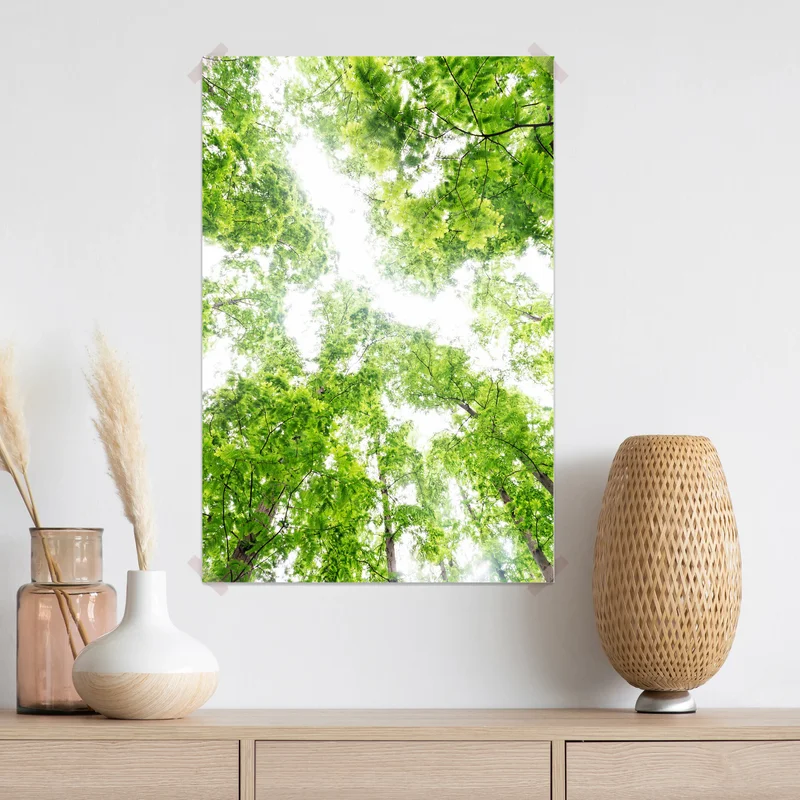 Poster Baumwipfel • Poster bei Wallnifity® Poster Baumwipfel • Poster bei Wallnifity®