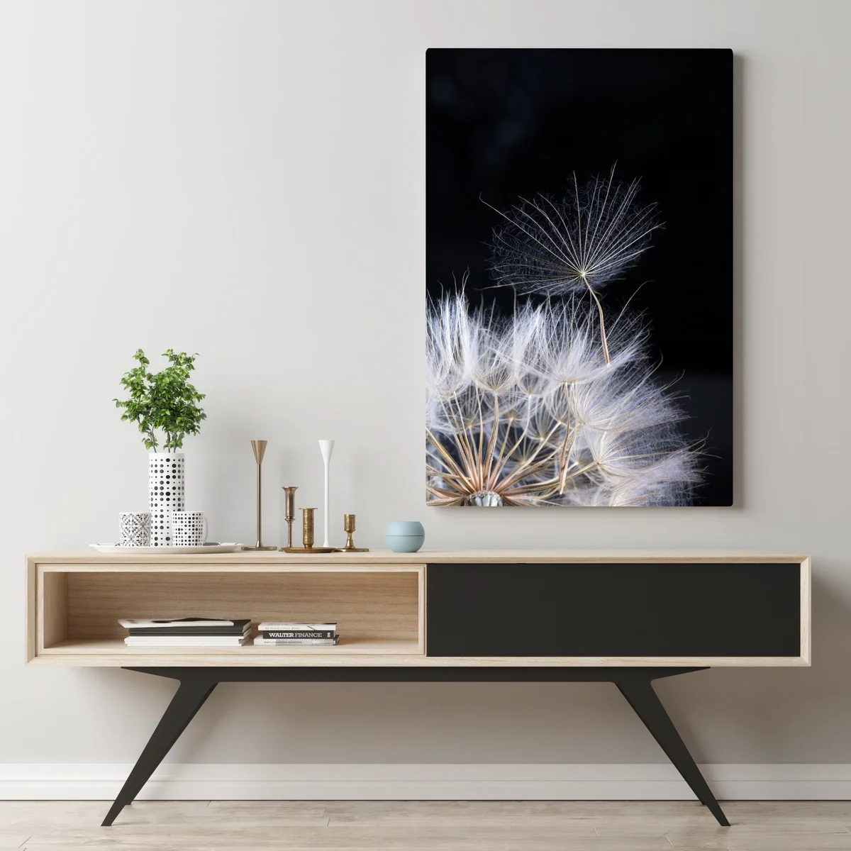 Leinwandbild zarter löwenzahnsamen auf schwarzem hintergrund Leinwandbild zarter löwenzahnsamen auf schwarzem hintergrund