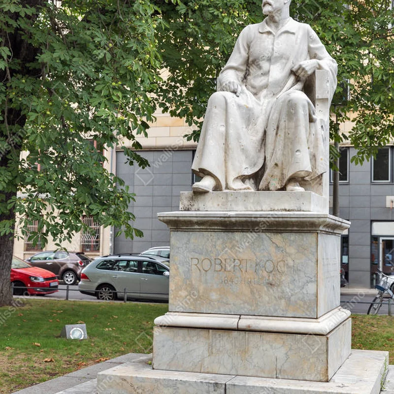 Leinwandbild ein denkmal für robert koch, der ein deutscher arzt und mikrobiologe war. berlin, deutschland. • Leinwandbilder bei Wallnifity® Leinwandbild ein denkmal für robert koch, der ein deutscher arzt und mikrobiologe war. berlin, deutschland. • Leinwandbilder bei Wallnifity®