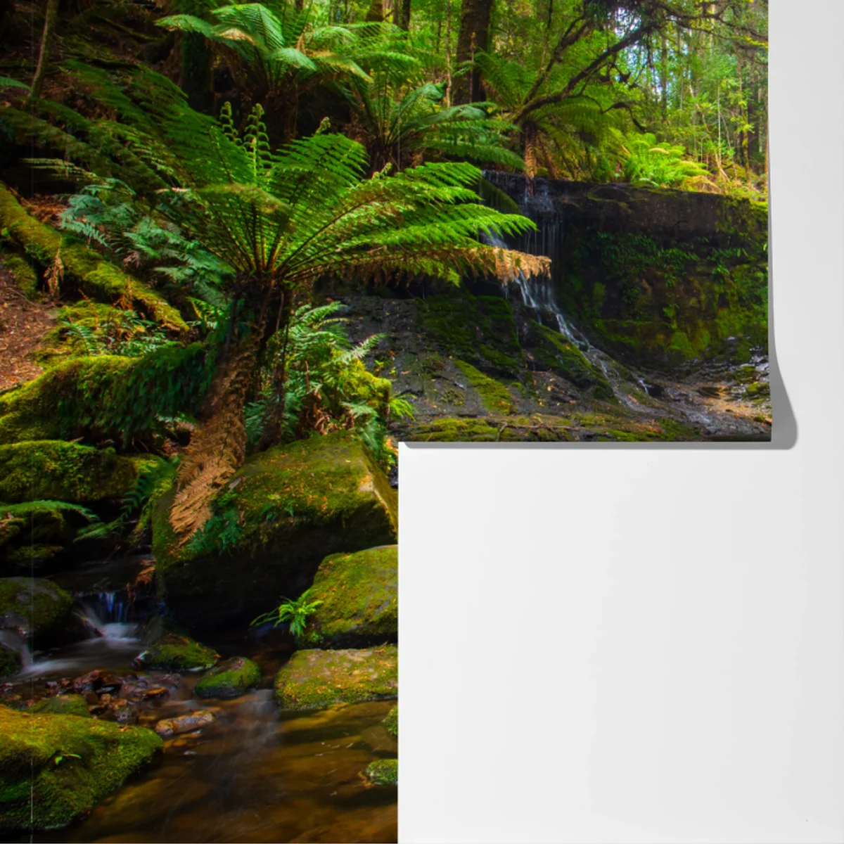 Fototapeta bujny leśny wodospad Fototapeta bujny leśny wodospad