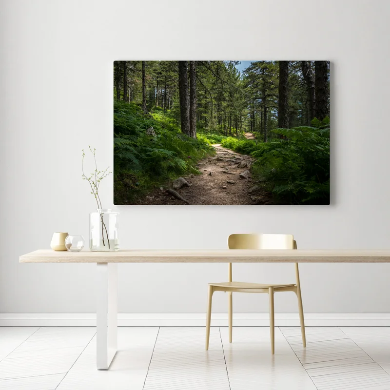 Leinwandbild ruhiger waldpfad durch üppiges grün Leinwandbild ruhiger waldpfad durch üppiges grün