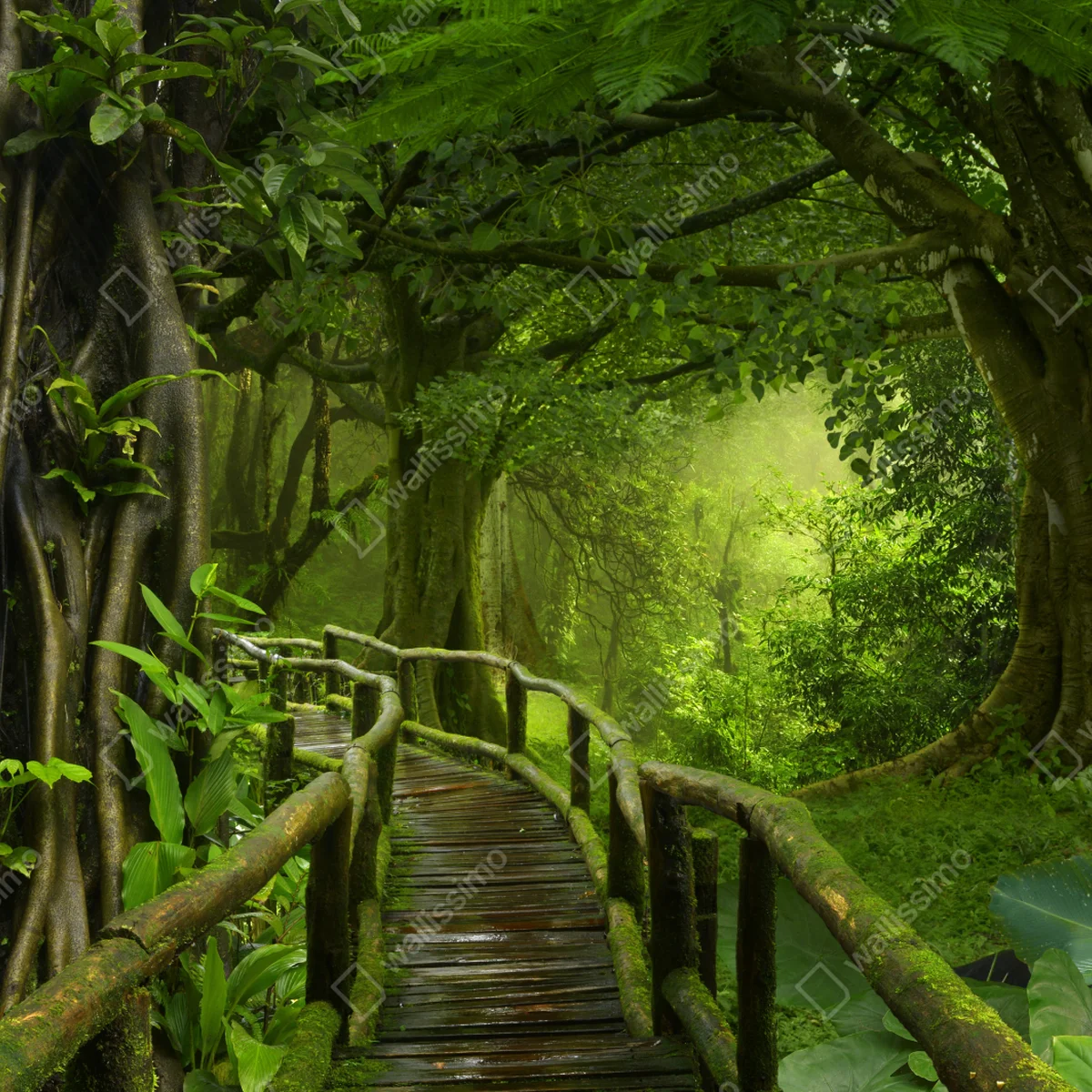 Fototapete nebliger steg im tropischen dschungel Fototapete nebliger steg im tropischen dschungel
