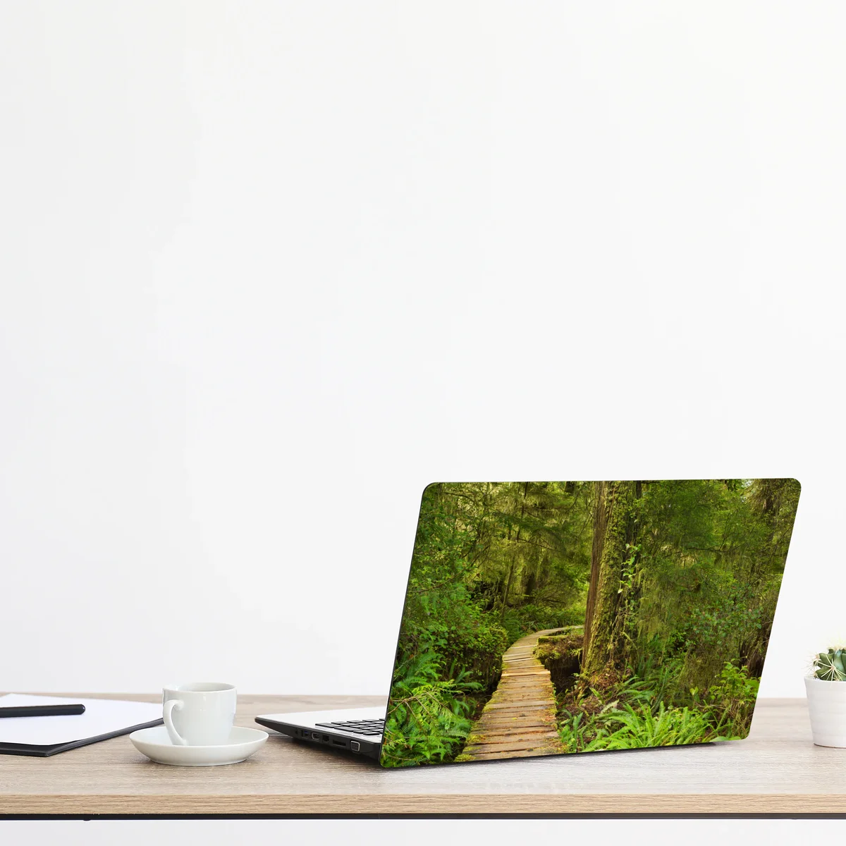 Naklejka na laptopa pomost w lesie deszczowym Pacific Rim Naklejka na laptopa pomost w lesie deszczowym Pacific Rim