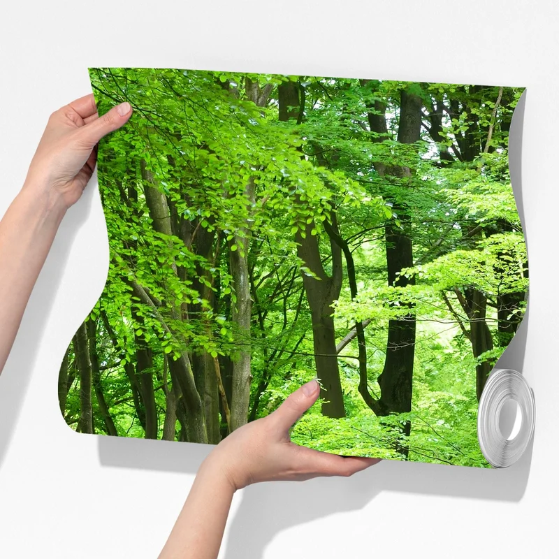 Fototapete ruhige grüne waldkrone Fototapete ruhige grüne waldkrone