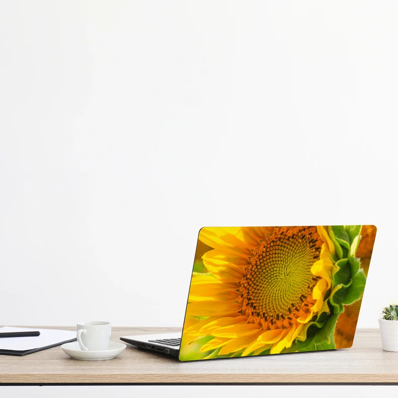 Laptop-Aufkleber sonnenblume nahaufnahme Laptop-Aufkleber sonnenblume nahaufnahme