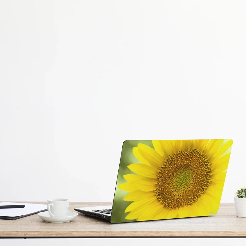 Laptop-Aufkleber leuchtende nahaufnahme sonnenblume