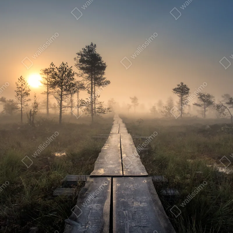Repositionierbarer Aufkleber nebliger sonnenaufgang über dem holzsteg Repositionierbarer Aufkleber nebliger sonnenaufgang über dem holzsteg