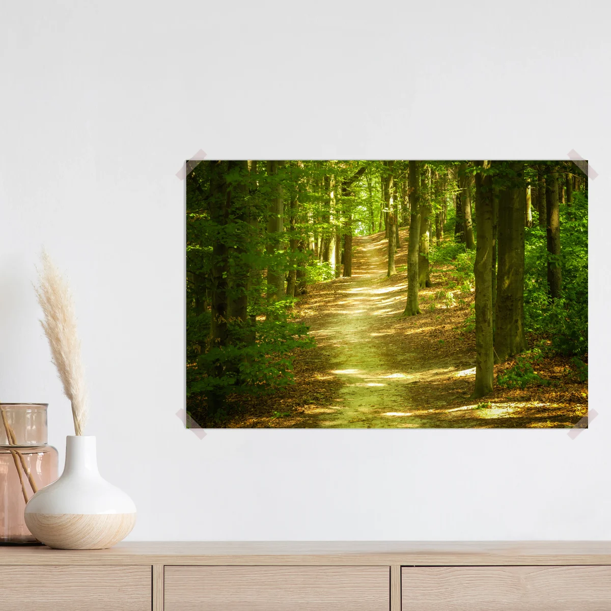 Poster sonniger waldpfad Poster sonniger waldpfad