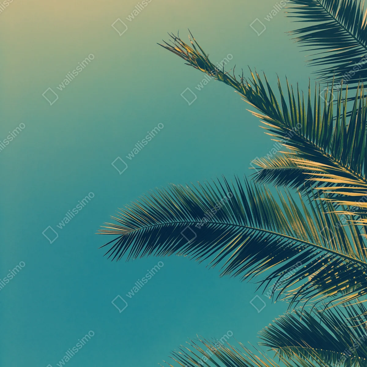 Poster vintage tropische palmenblätter • Poster bei Wallnifity® Poster vintage tropische palmenblätter • Poster bei Wallnifity®