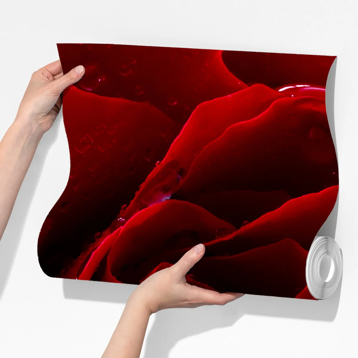 Fototapete leuchtend rote rose nahaufnahme Fototapete leuchtend rote rose nahaufnahme