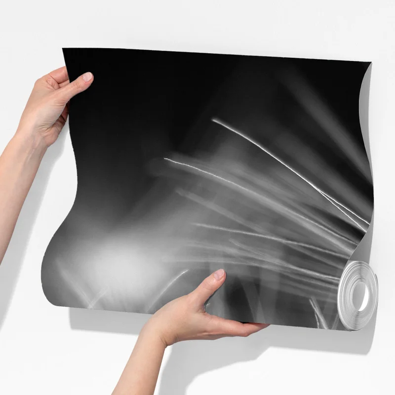 Fototapete zarte löwenzahnsamen in monochrom Fototapete zarte löwenzahnsamen in monochrom