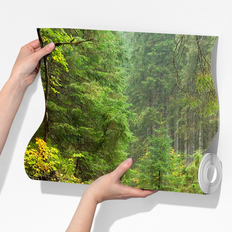 Fototapete moosbedeckter waldbach im herbst Fototapete moosbedeckter waldbach im herbst