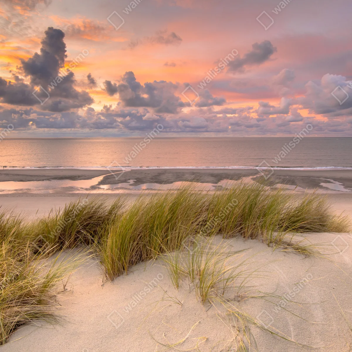 Fototapete sonnenuntergang über dünen in Zeeland Fototapete sonnenuntergang über dünen in Zeeland