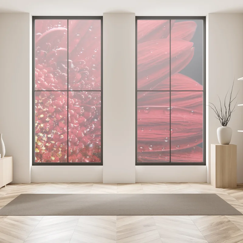 Fensteraufkleber rote gerbera makro mit wassertropfen Fensteraufkleber rote gerbera makro mit wassertropfen