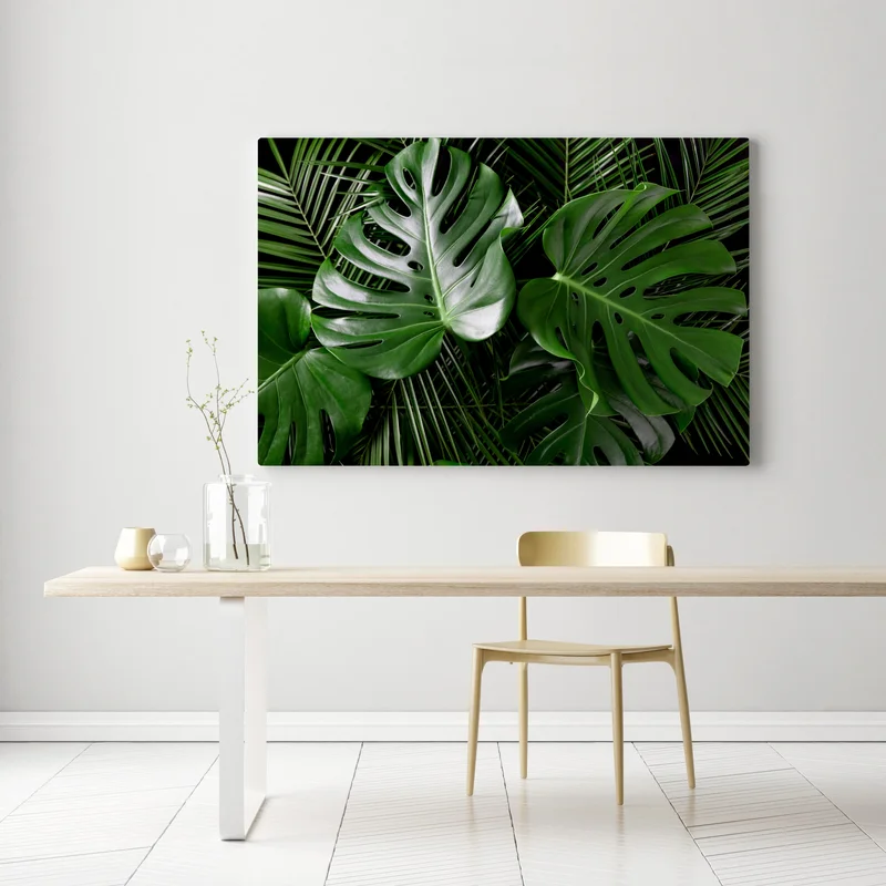 Leinwandbild üppige monstera-blätter Leinwandbild üppige monstera-blätter