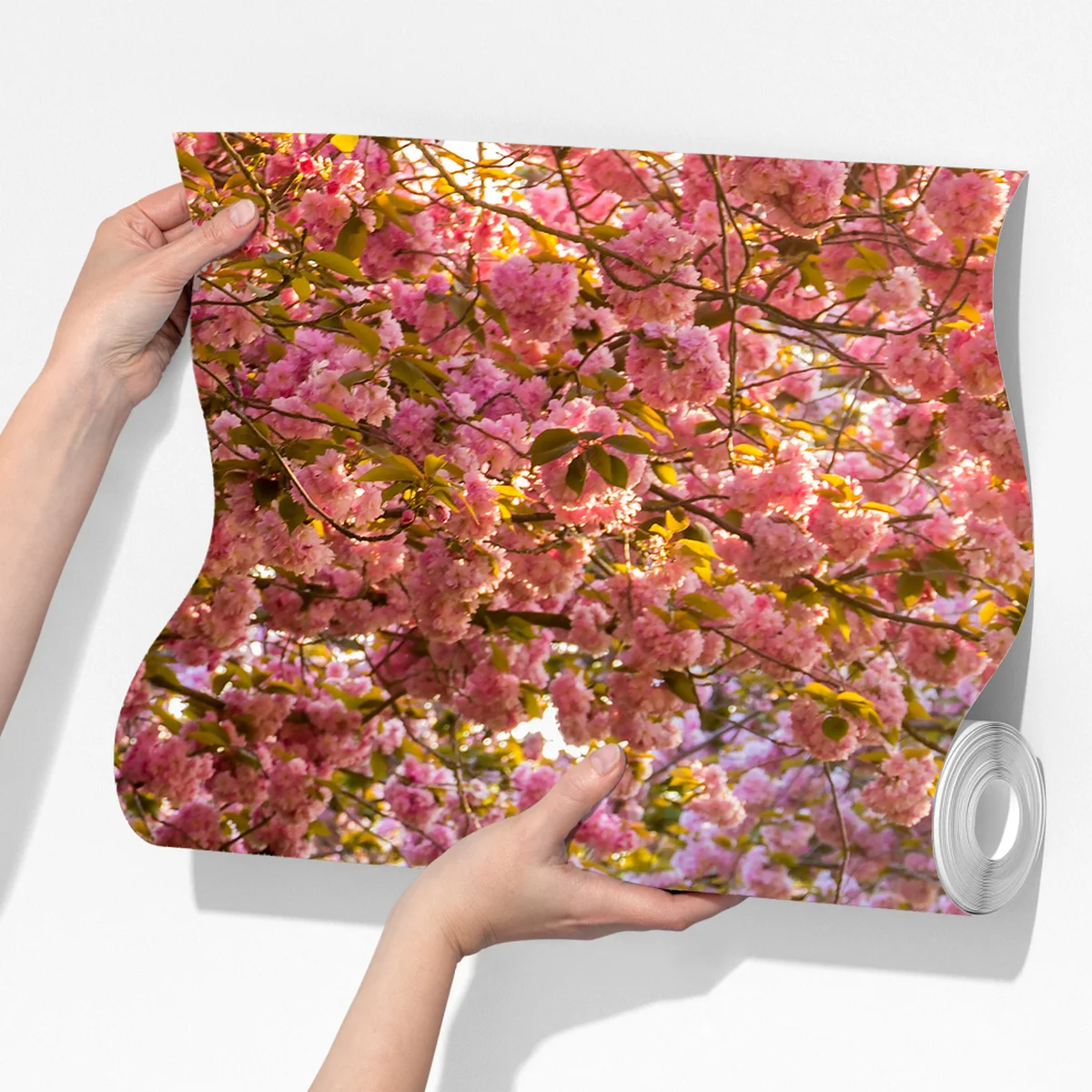 Fototapete kirschblütenallee im frühling Fototapete kirschblütenallee im frühling