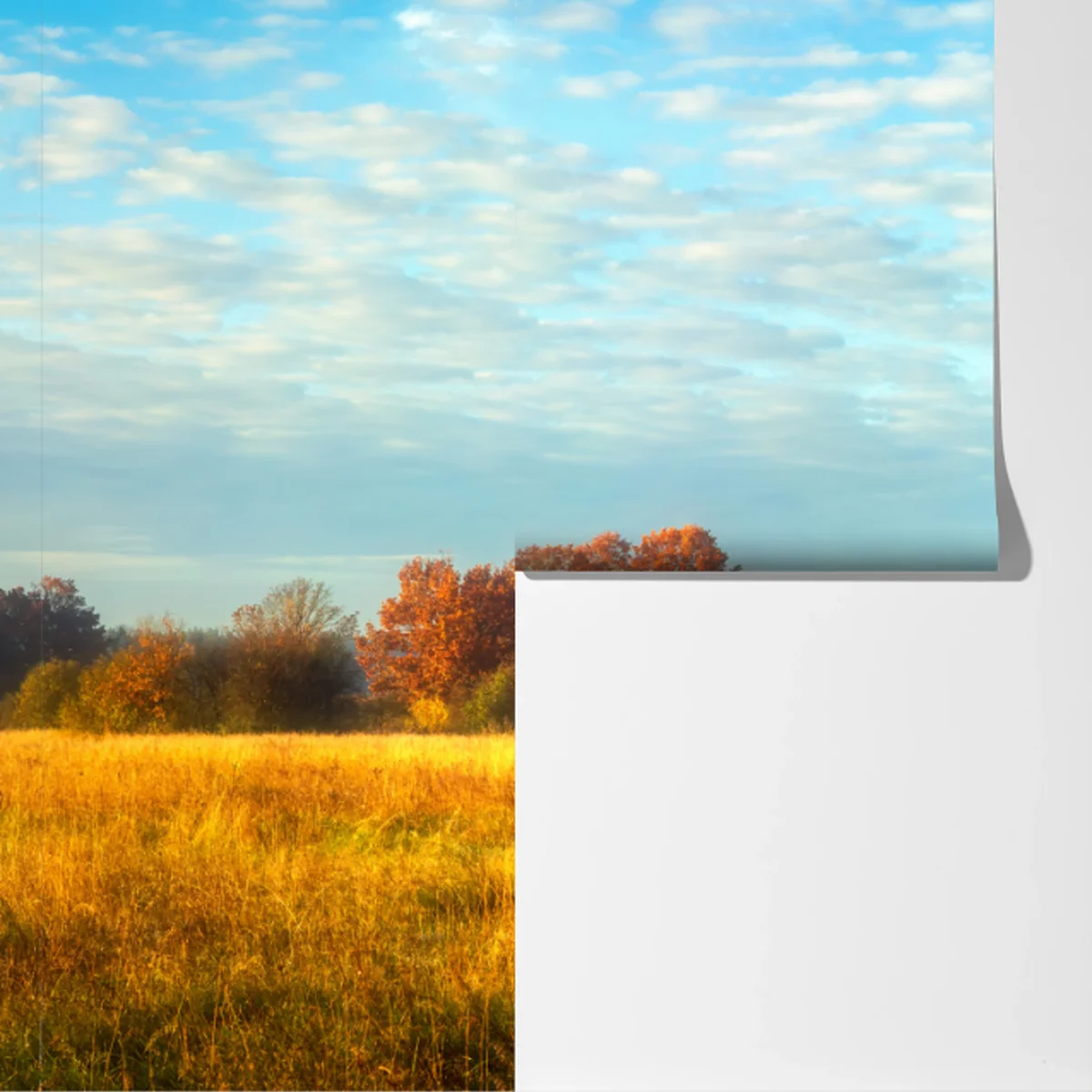 Fototapeta złota jesienna łąka Fototapeta złota jesienna łąka