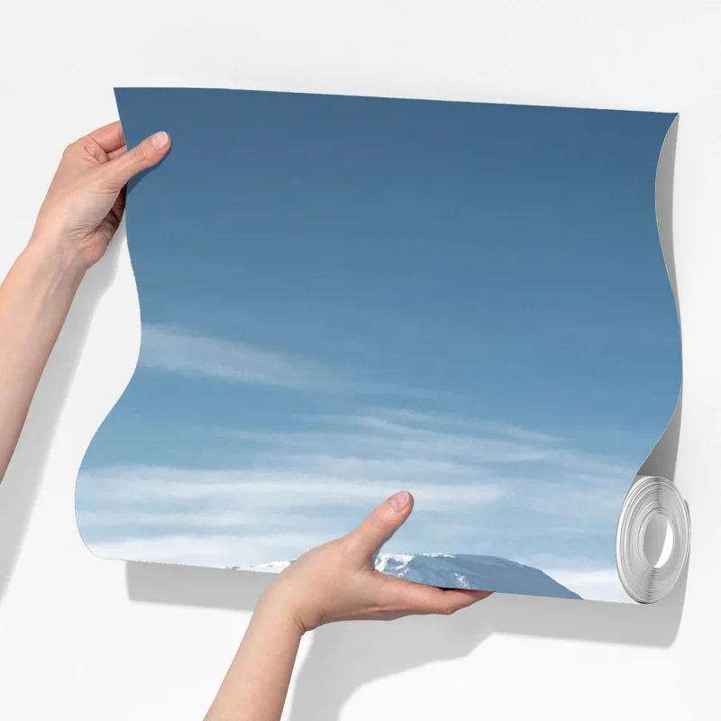 Fototapete elefantenherde vor Kilimandscharo Fototapete elefantenherde vor Kilimandscharo