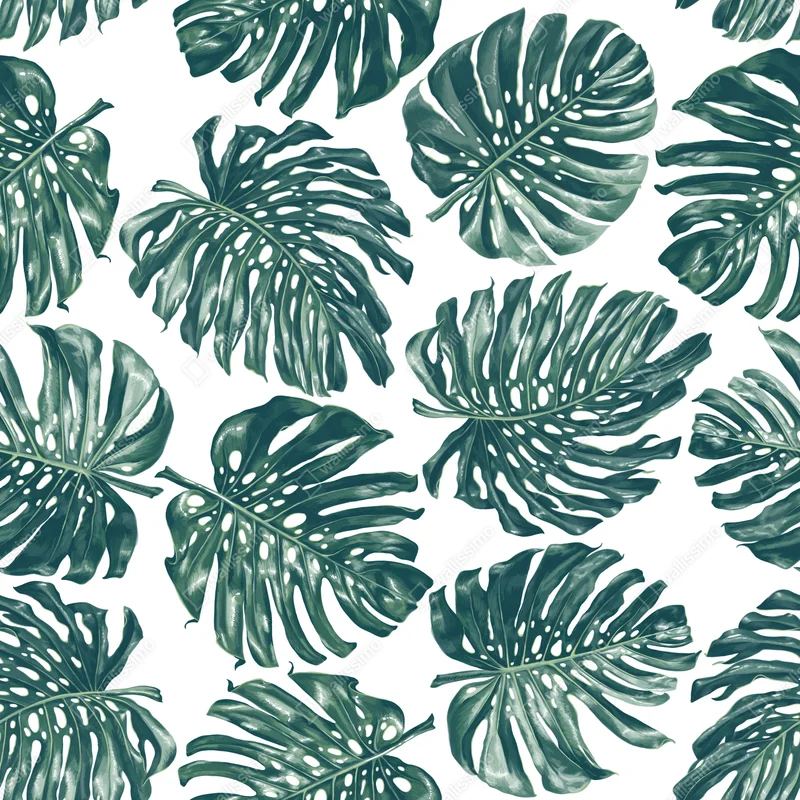 Laptop-Aufkleber monstera blatt botanisches muster Laptop-Aufkleber monstera blatt botanisches muster