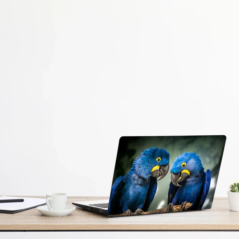 Laptop-Aufkleber paar blauer aras - nahaufnahme