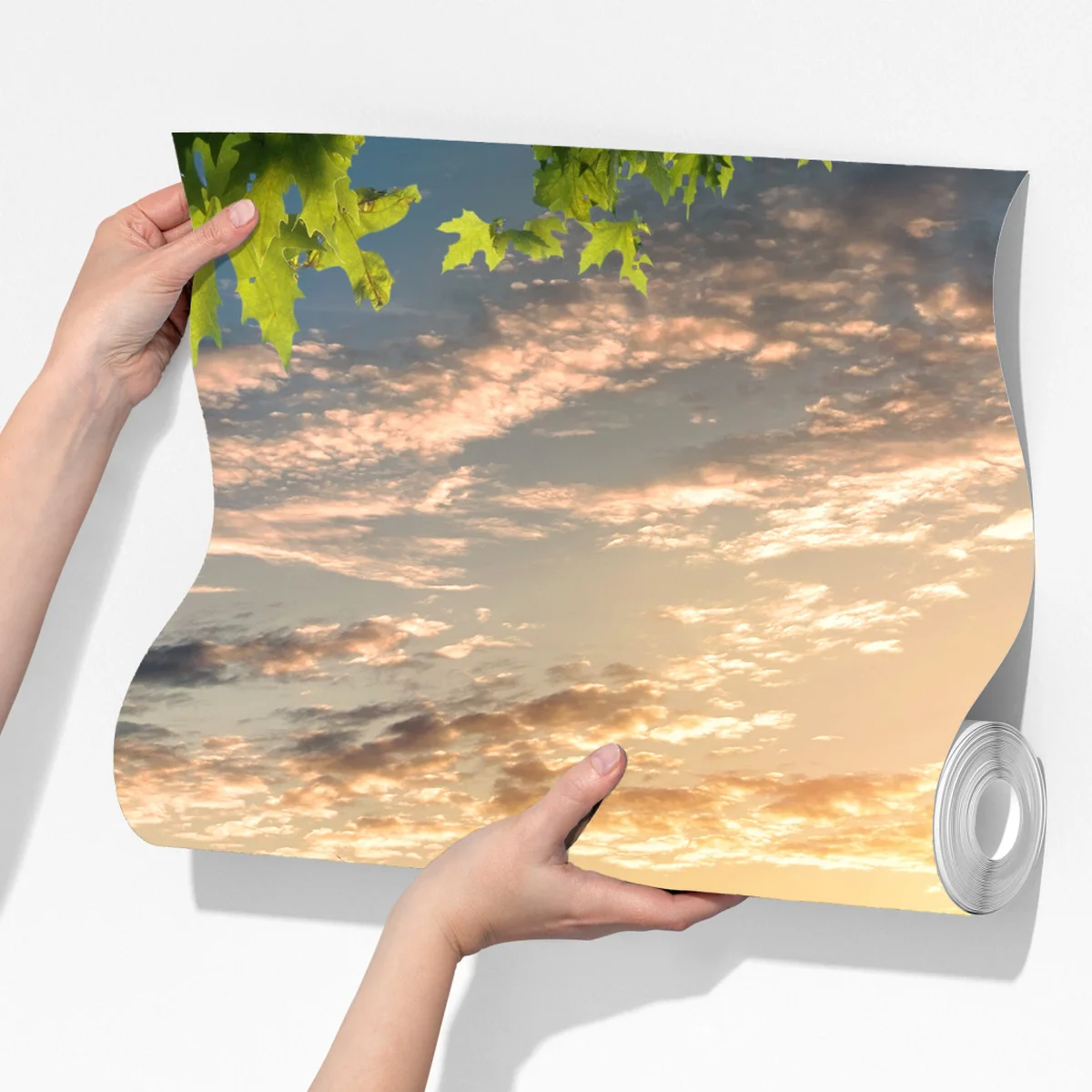 Fototapete sonnenuntergang mit schwan auf stillem see Fototapete sonnenuntergang mit schwan auf stillem see