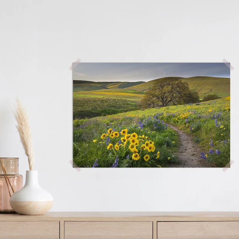 Poster pfad durch blumenwiese mit eichenbaum • Poster bei Wallnifity® Poster pfad durch blumenwiese mit eichenbaum • Poster bei Wallnifity®