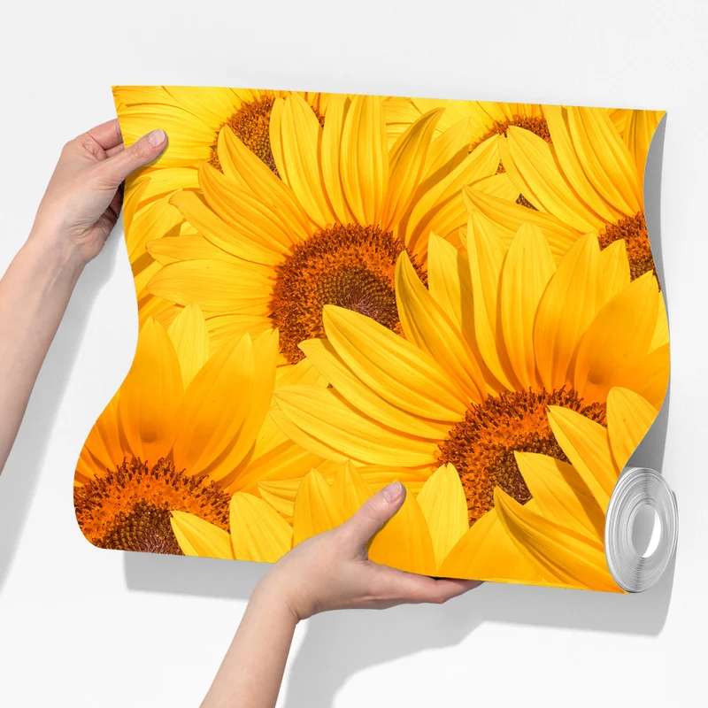 Fototapete goldenes sonnenblumenfeld Fototapete goldenes sonnenblumenfeld