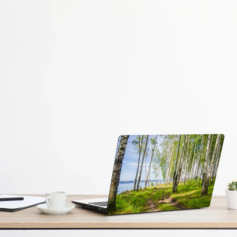 Laptop-Aufkleber sonnige birkenlichtung am wasser Laptop-Aufkleber sonnige birkenlichtung am wasser