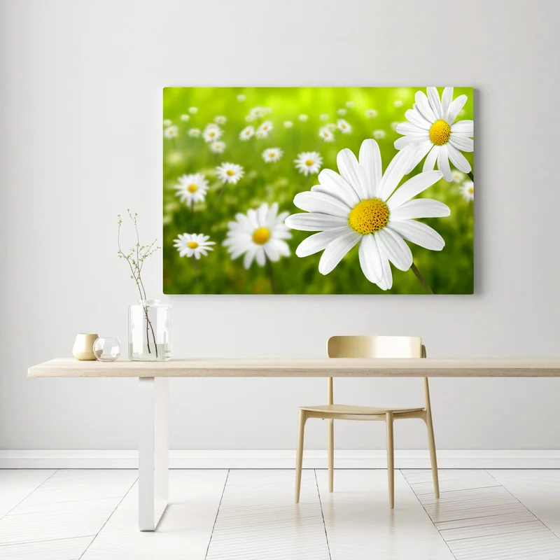 Leinwandbild weiße gänseblümchen auf der wiese Leinwandbild weiße gänseblümchen auf der wiese