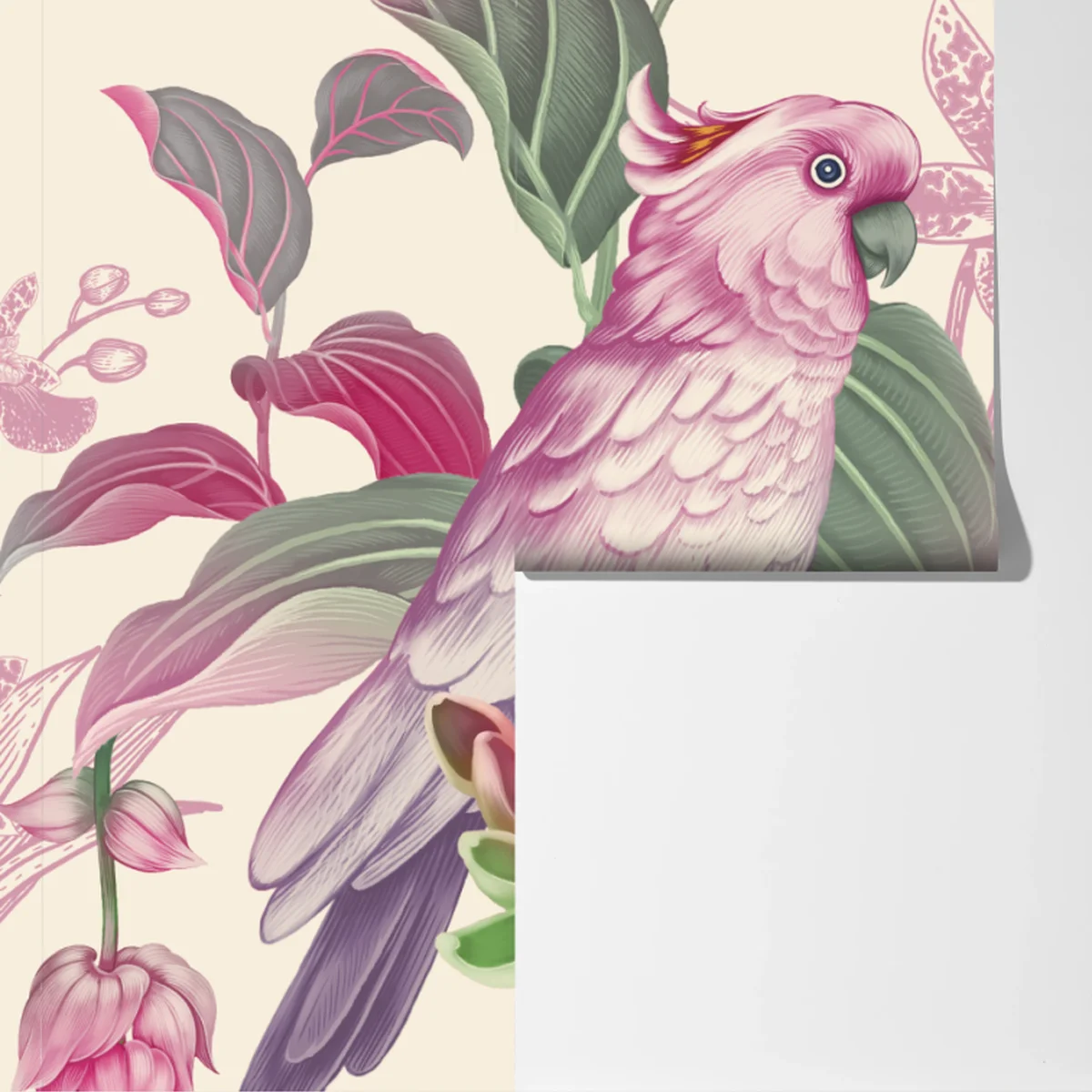 Fototapete rosa papagei und chrysantheme - botanisches motiv Fototapete rosa papagei und chrysantheme - botanisches motiv