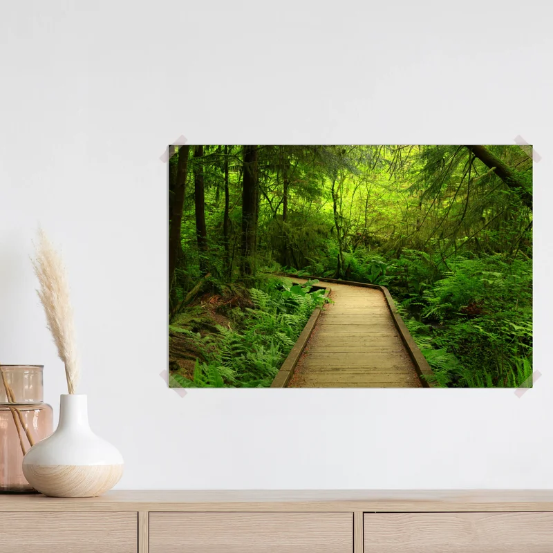 Poster ruhiger grüner waldsteg Poster ruhiger grüner waldsteg