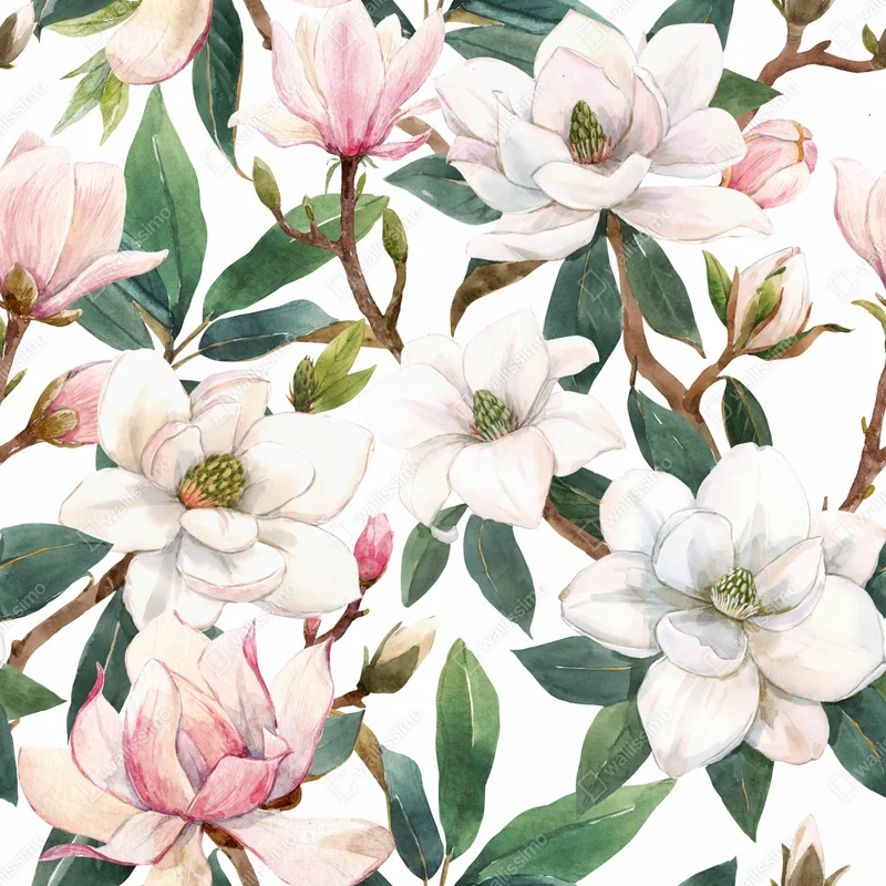 Poster zarte magnolie aquarell botanisches muster • Poster bei Wallnifity® Poster zarte magnolie aquarell botanisches muster • Poster bei Wallnifity®