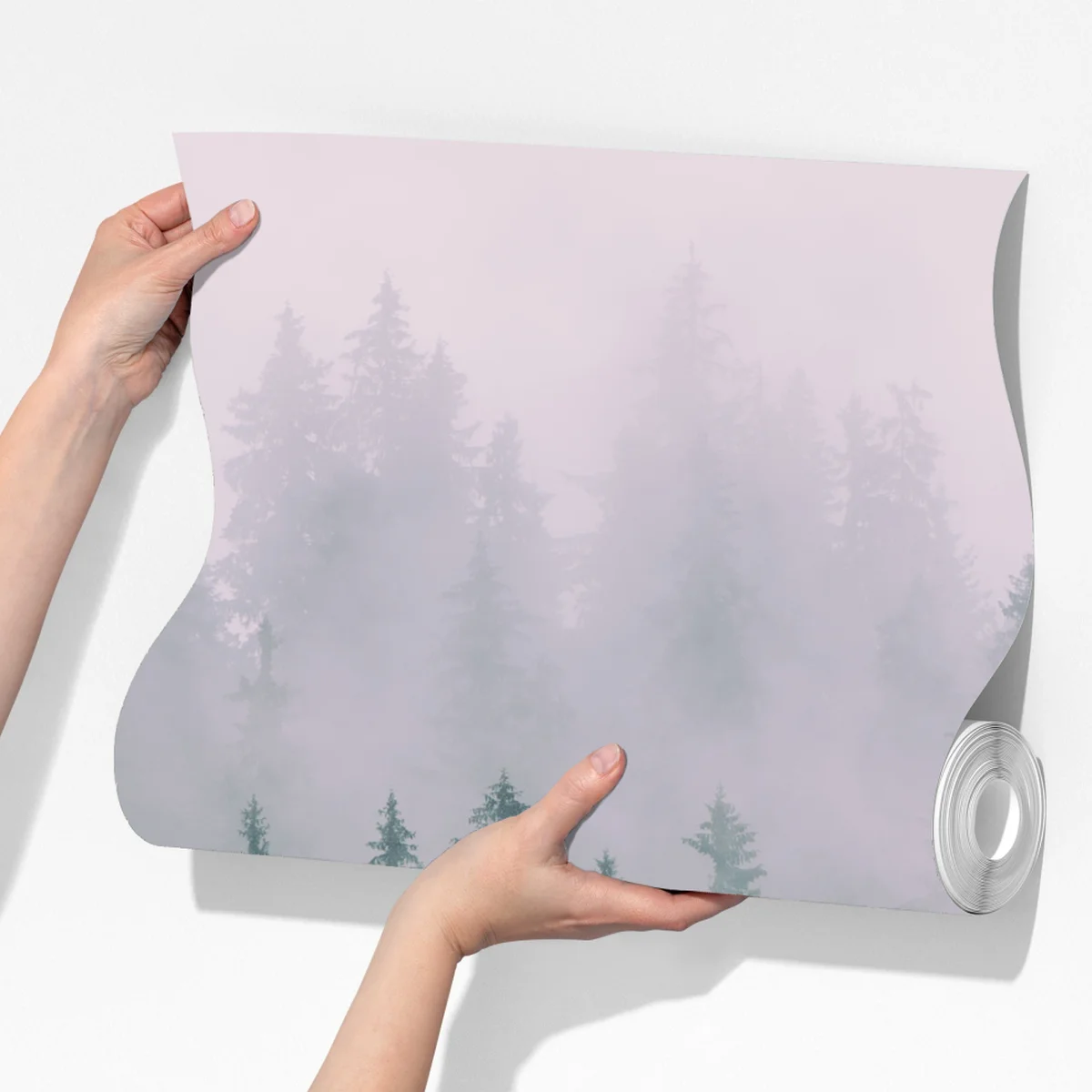 Fototapete nebliger immergrüner wald Fototapete nebliger immergrüner wald