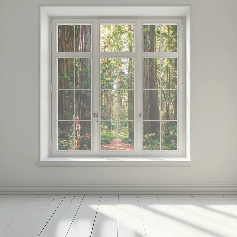 Naklejka na okno majestatyczna ścieżka w lesie sekwoi