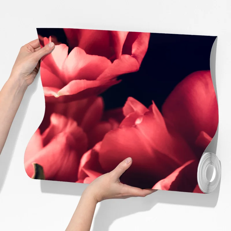 Fototapeta nastrojowy różowy bukiet tulipanów Fototapeta nastrojowy różowy bukiet tulipanów