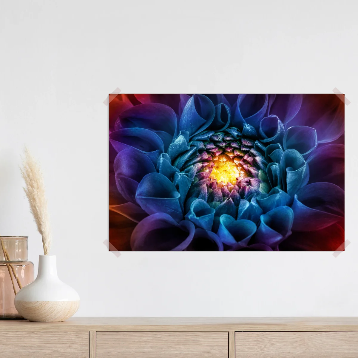 Poster leuchtende blaue chrysantheme nahaufnahme Poster leuchtende blaue chrysantheme nahaufnahme