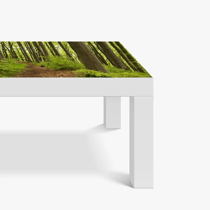 Tischaufkleber und Schreibtischaufkleber ruhiger grüner waldweg