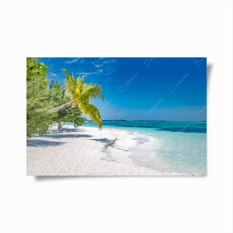 Poster tropischer türkisstrand • Poster bei Wallnifity® Poster tropischer türkisstrand • Poster bei Wallnifity®