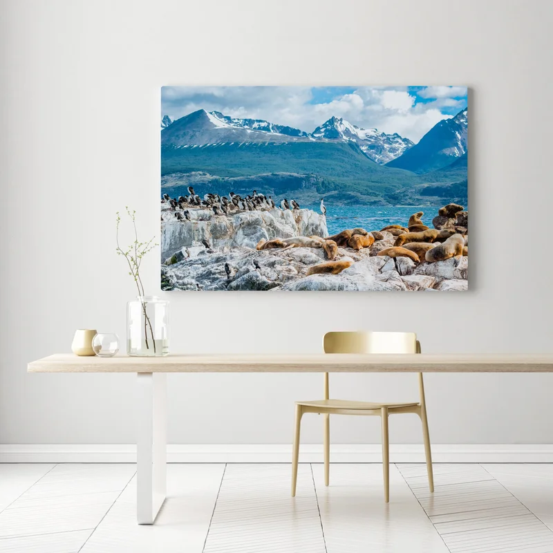 Leinwandbild seelöwen und seevögel an der felsküste Leinwandbild seelöwen und seevögel an der felsküste