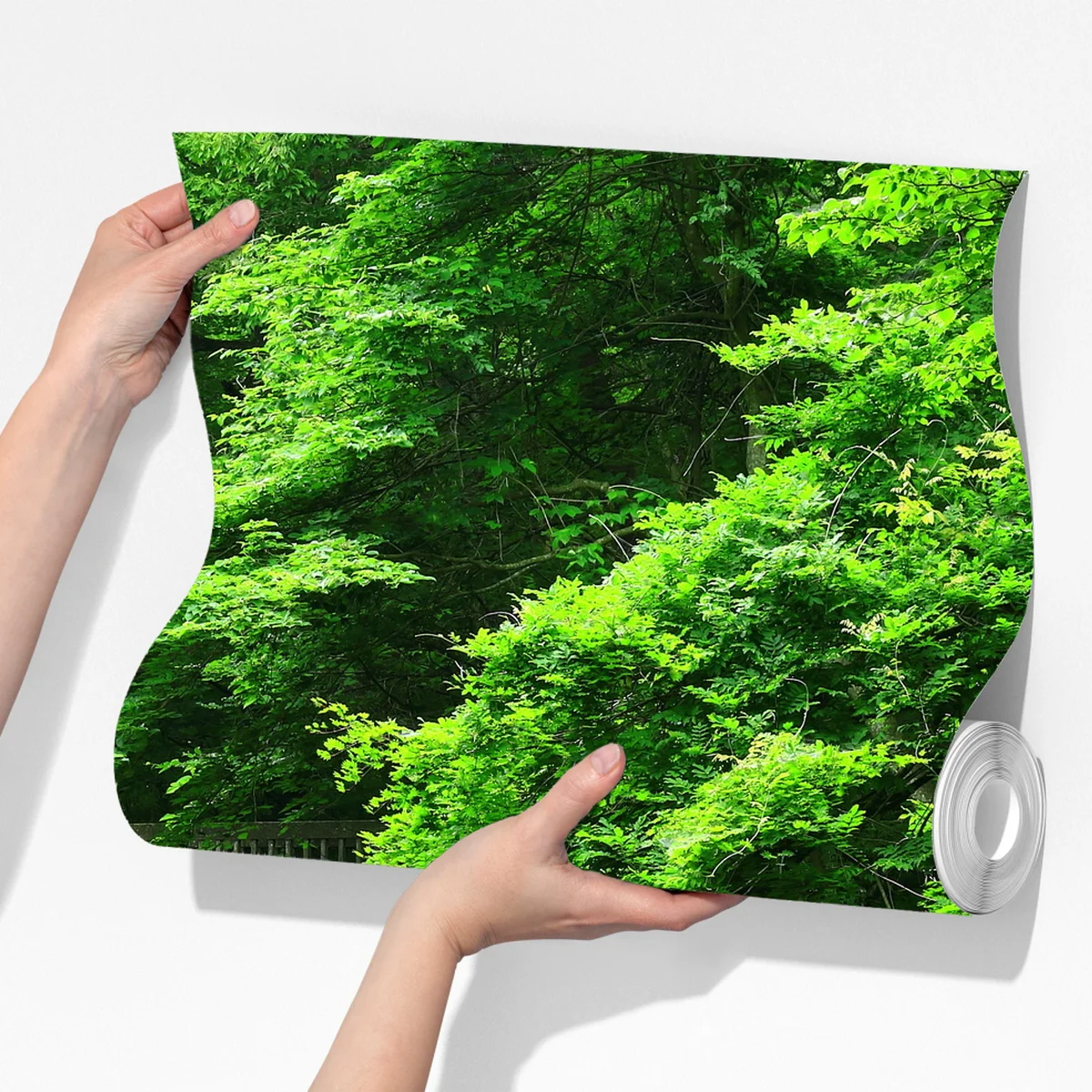 Fototapeta bujny zielony las z strumieniem i kamiennym mostem Fototapeta bujny zielony las z strumieniem i kamiennym mostem