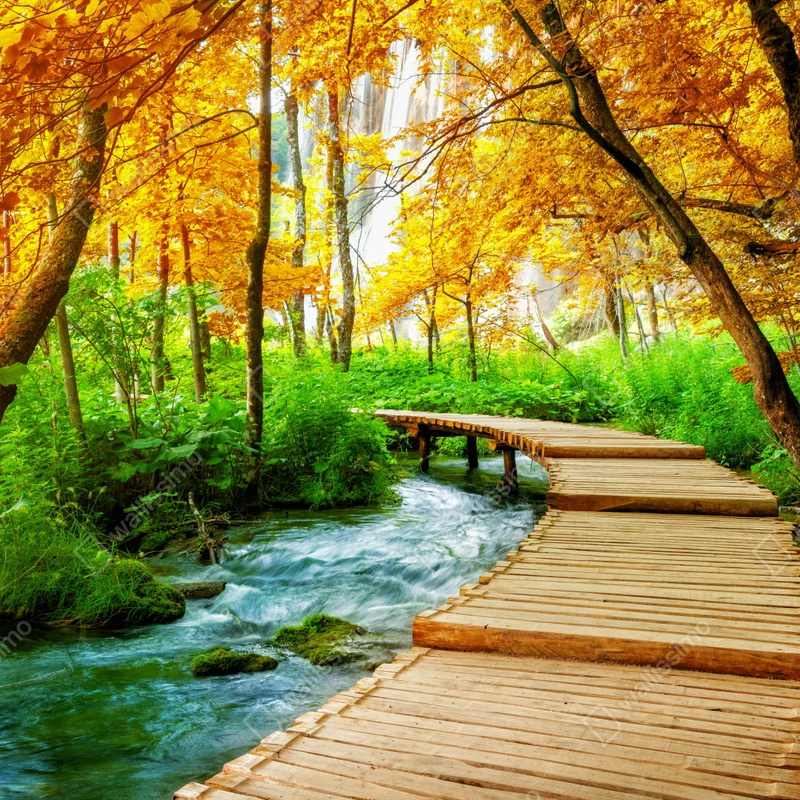 Laptop-Aufkleber goldener steg durch den wald bei Plitvicer Seen Laptop-Aufkleber goldener steg durch den wald bei Plitvicer Seen