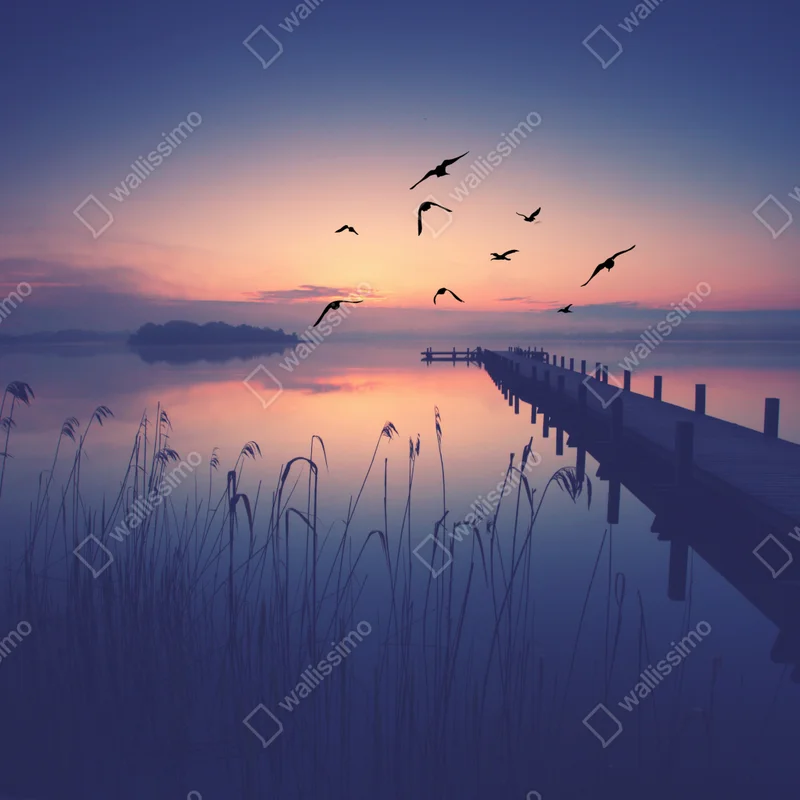 Kühlschrankaufkleber ruhiger sonnenaufgang am see mit vögeln Kühlschrankaufkleber ruhiger sonnenaufgang am see mit vögeln