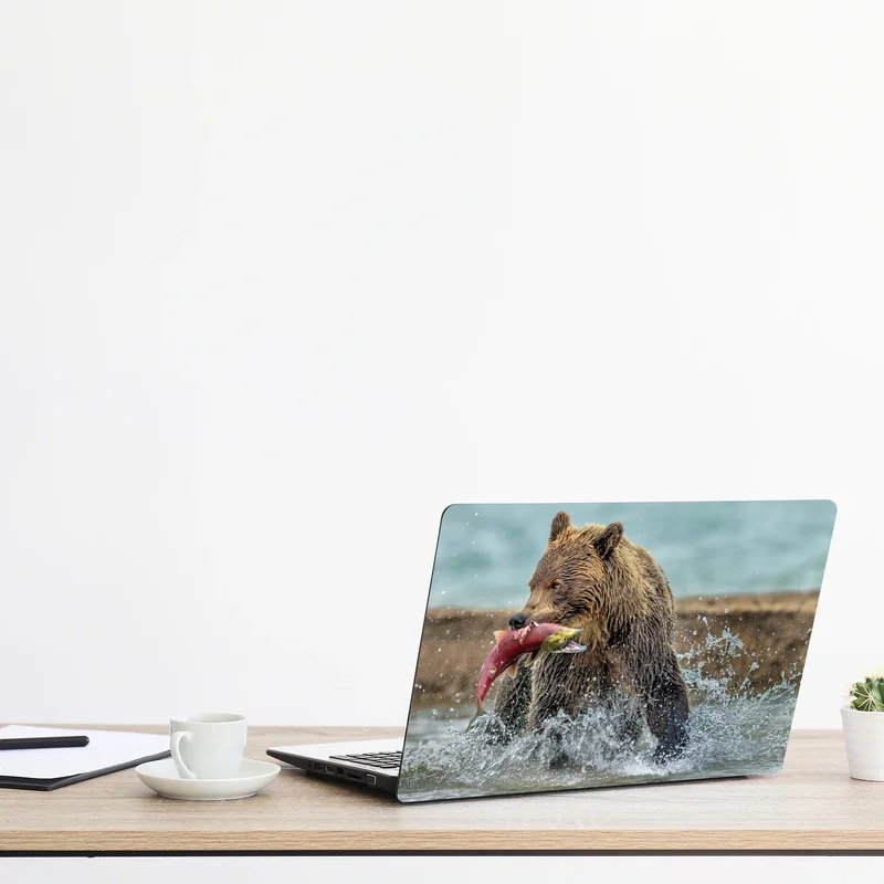Laptop-Aufkleber braunbär fängt lachs im fluss Laptop-Aufkleber braunbär fängt lachs im fluss